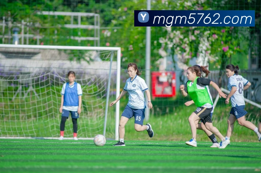 美高梅官网首页发展历程